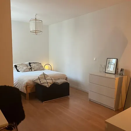 Joli Appartement Au Coeur De Straatsburg Buitenkant foto