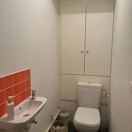 Joli Appartement Au Coeur De Straatsburg Buitenkant foto