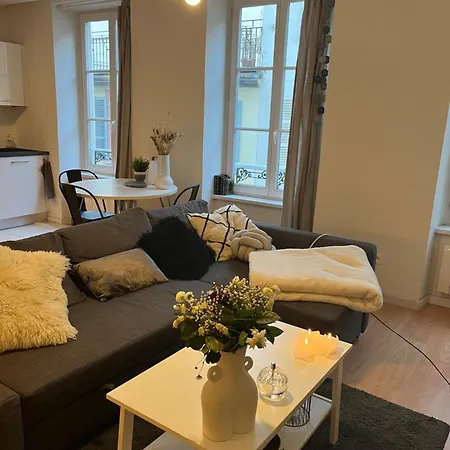 Joli Appartement Au Coeur De Straatsburg Buitenkant foto