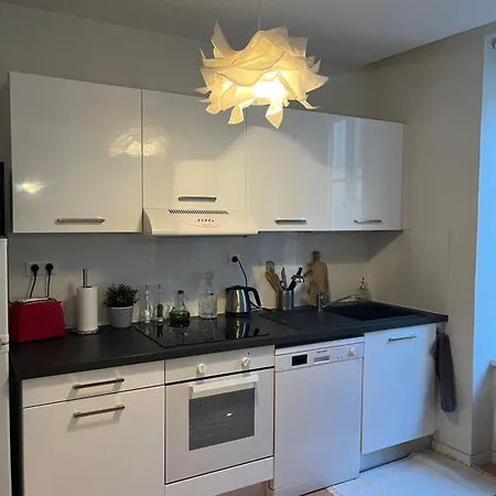 Joli Appartement Au Coeur De Straatsburg Buitenkant foto