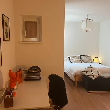 Joli Appartement Au Coeur De Straatsburg Buitenkant foto