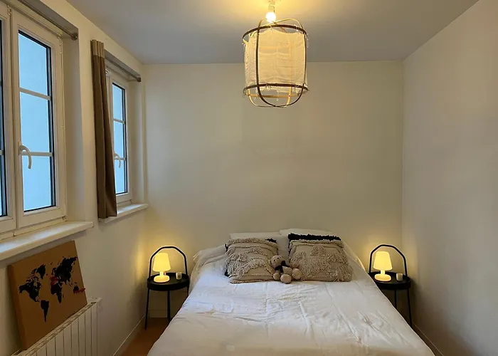 Joli Appartement Au Coeur De Strasbourg