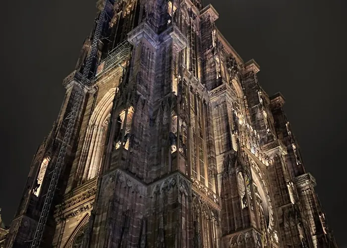 Joli Appartement Au Coeur De Strasbourg